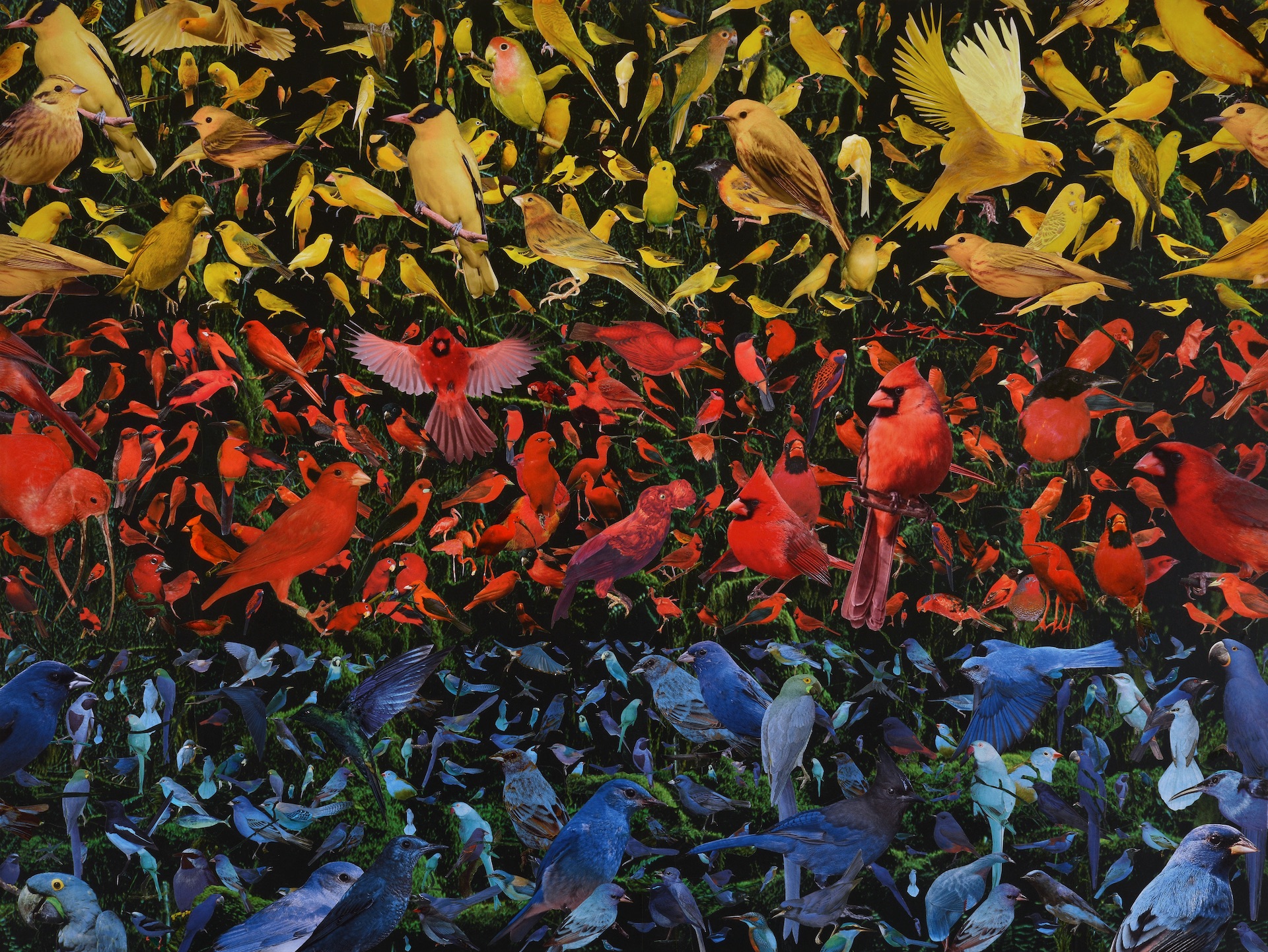 summer.jpg 'Summer' (detail), 120 x 90 cm. Collage/mixed media. 2021. Collectie kunstenaar