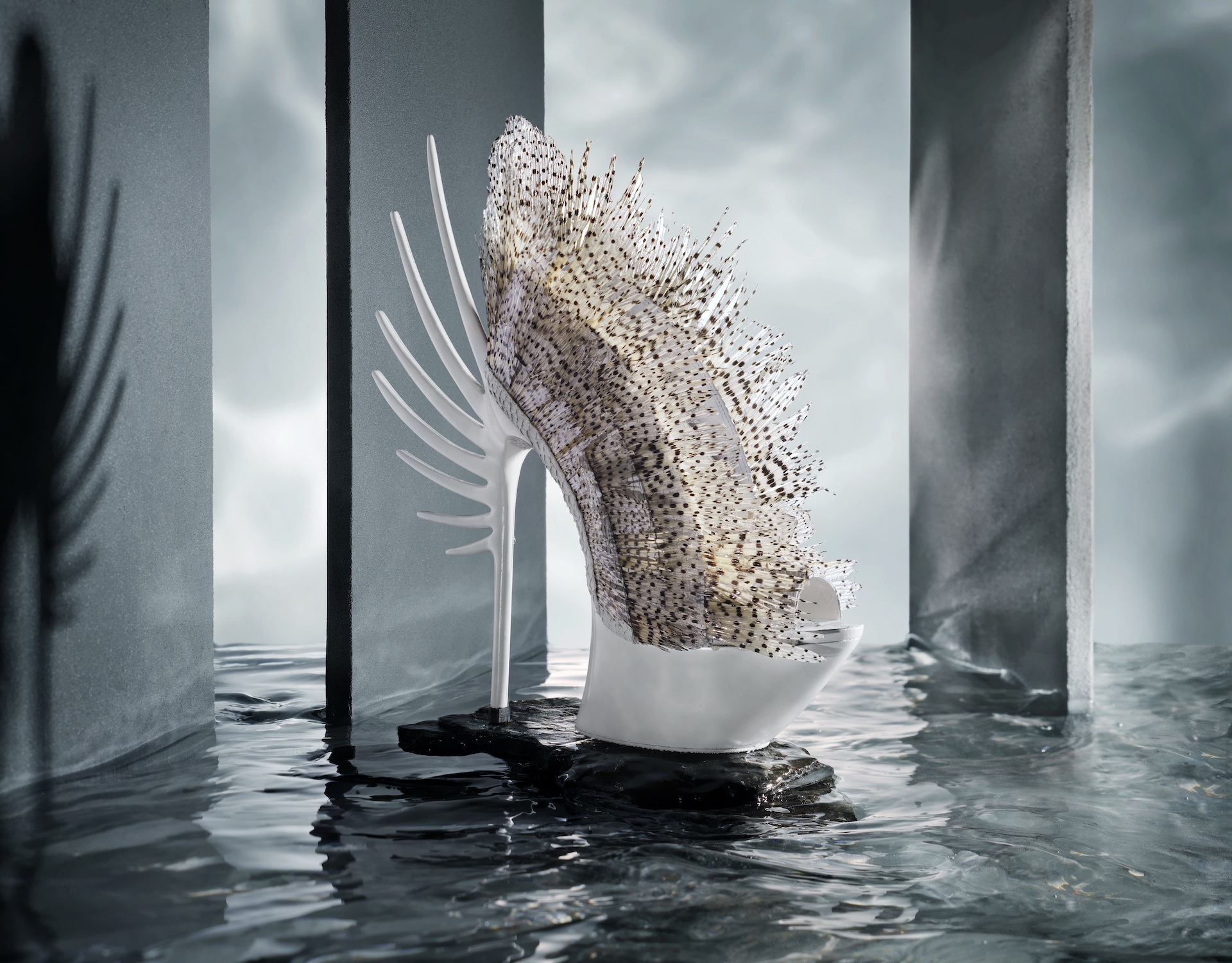 Quint Verhaart, Lionfish Shoe, met vinnen van de koraalduivel (detail) - collection Victims of Absence; fotograaf: Olivier Mul - Stud